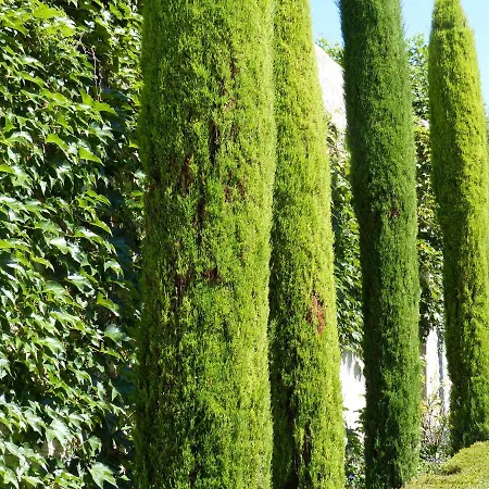 Frühstückspension Chateau Du Grand Jardin